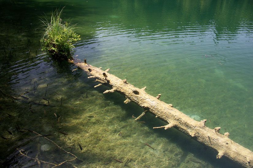 Obraz 070